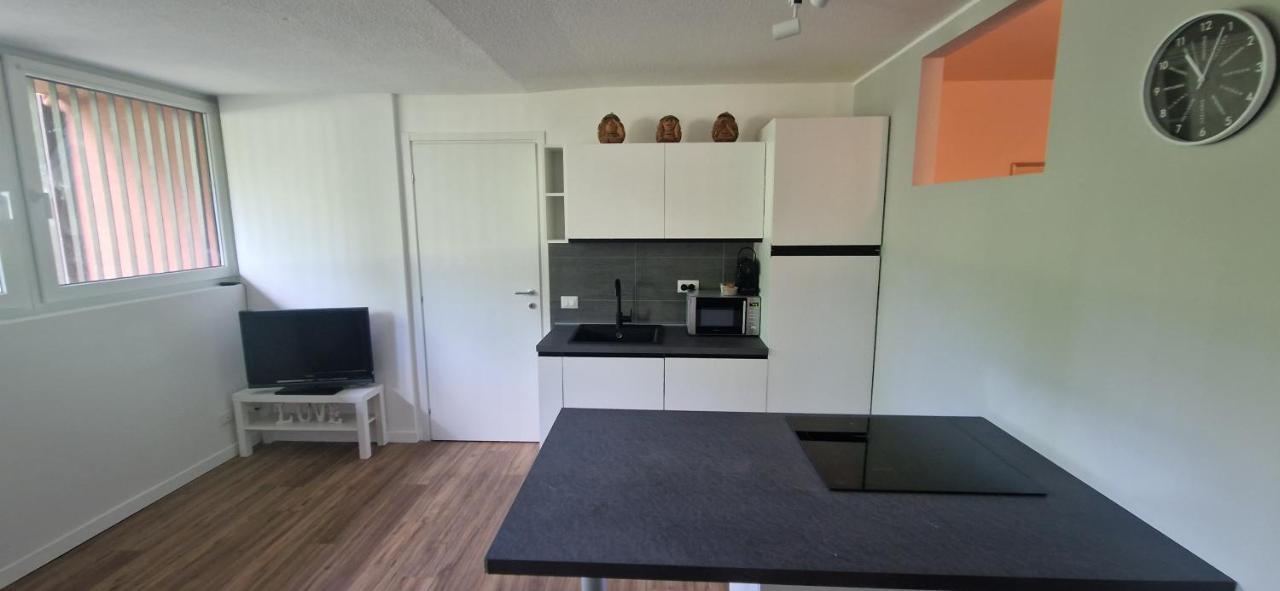 Lake House - Milano 3 Apartman Basiglio Kültér fotó